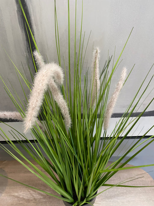 Artificial Foxtail Grass - Decor Interiors -  House & Home