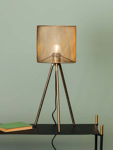 Cove Mesh Gold Metal Table Lamp - Decor Interiors -  House & Home